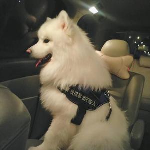 美女脱内内无马赛克网站
