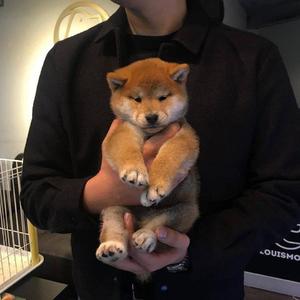 美女脱内内无马赛克网站
