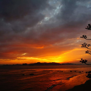 美女脱内内无马赛克网站
